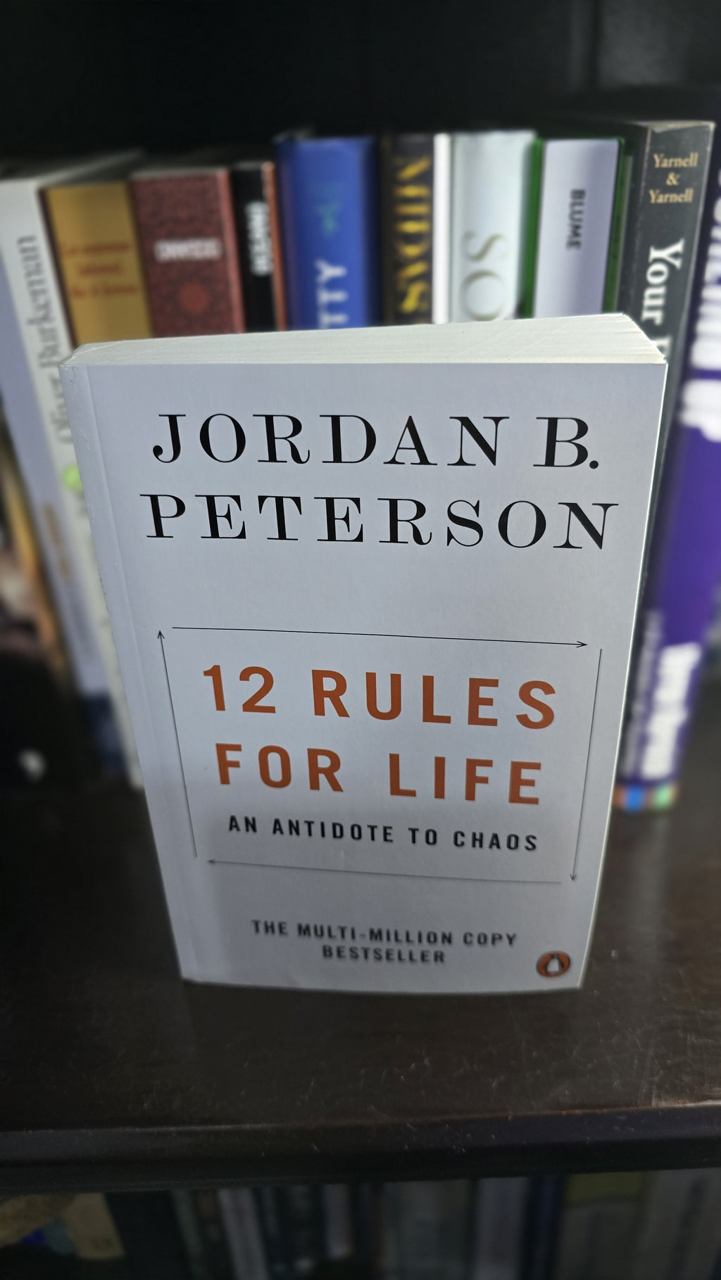 Portada real de 12 Rules for Life de Jordan B. Peterson, libro usado