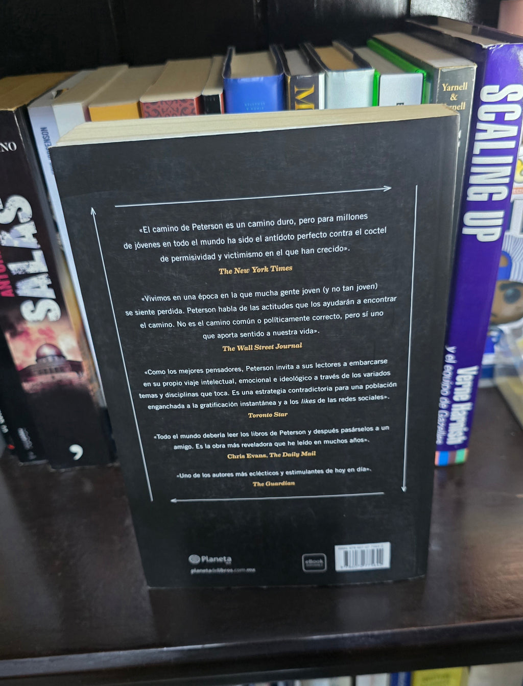 Contraportada del libro Más allá del orden de Jordan B. Peterson